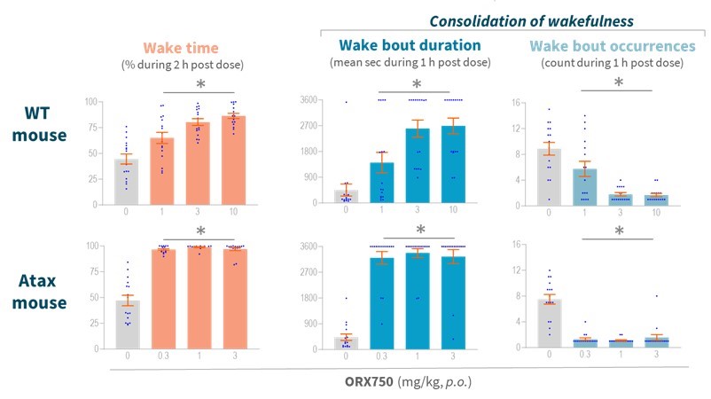 wake bouts.jpg
