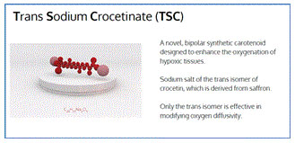 tsc01.jpg