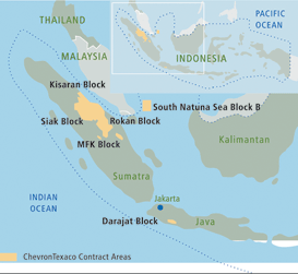 (INDONESIA DIAGRAM)
