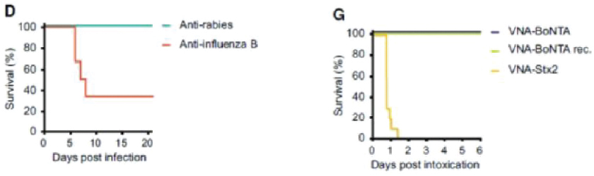 [MISSING IMAGE: tm215958d1-lc_antibodi4clr.jpg]