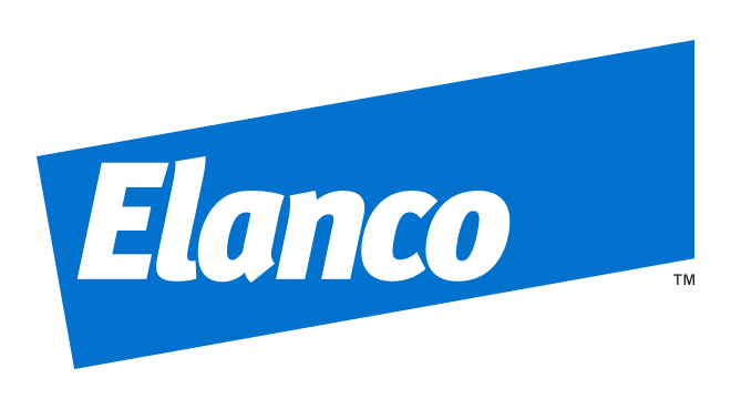 elan-20201231_g1.jpg