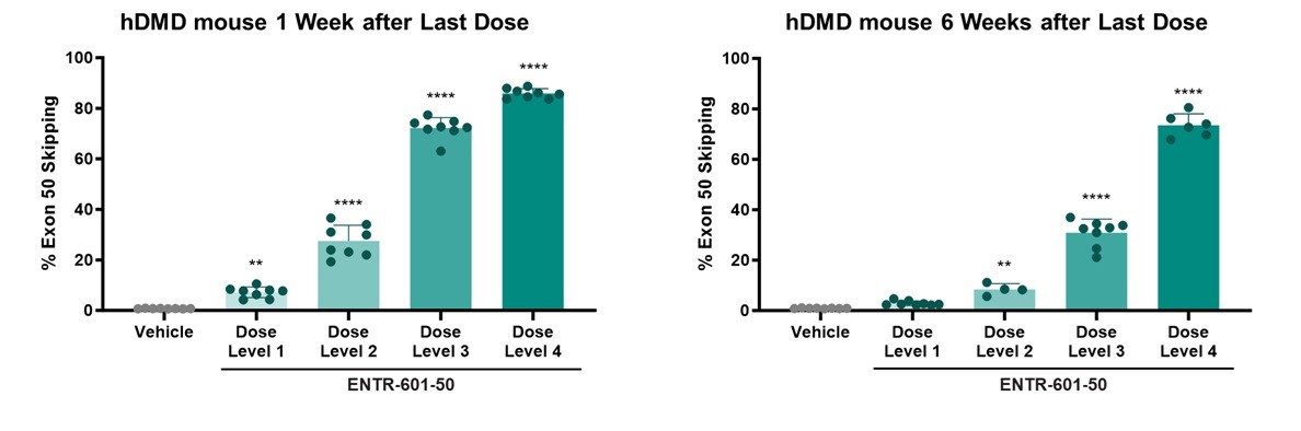 50 hDMD data.jpg
