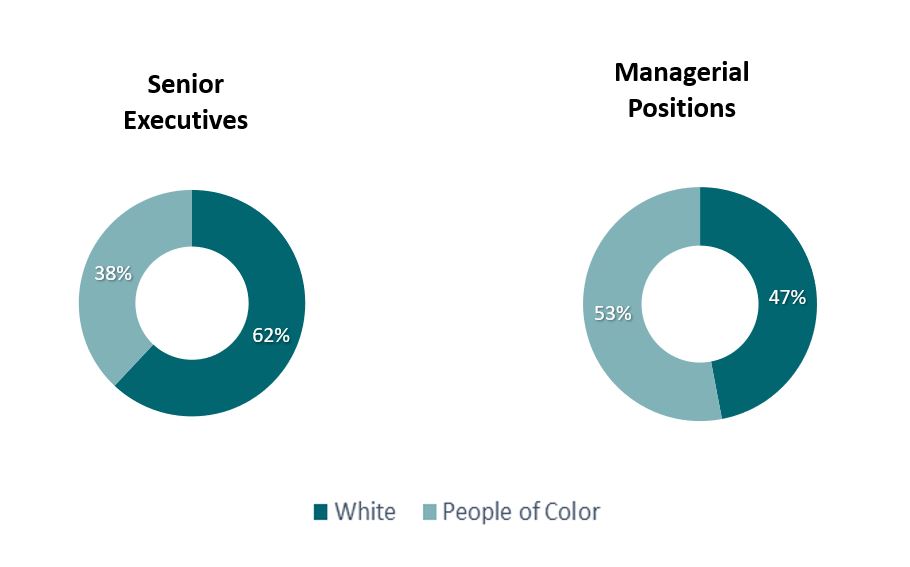 Ethnicity.jpg
