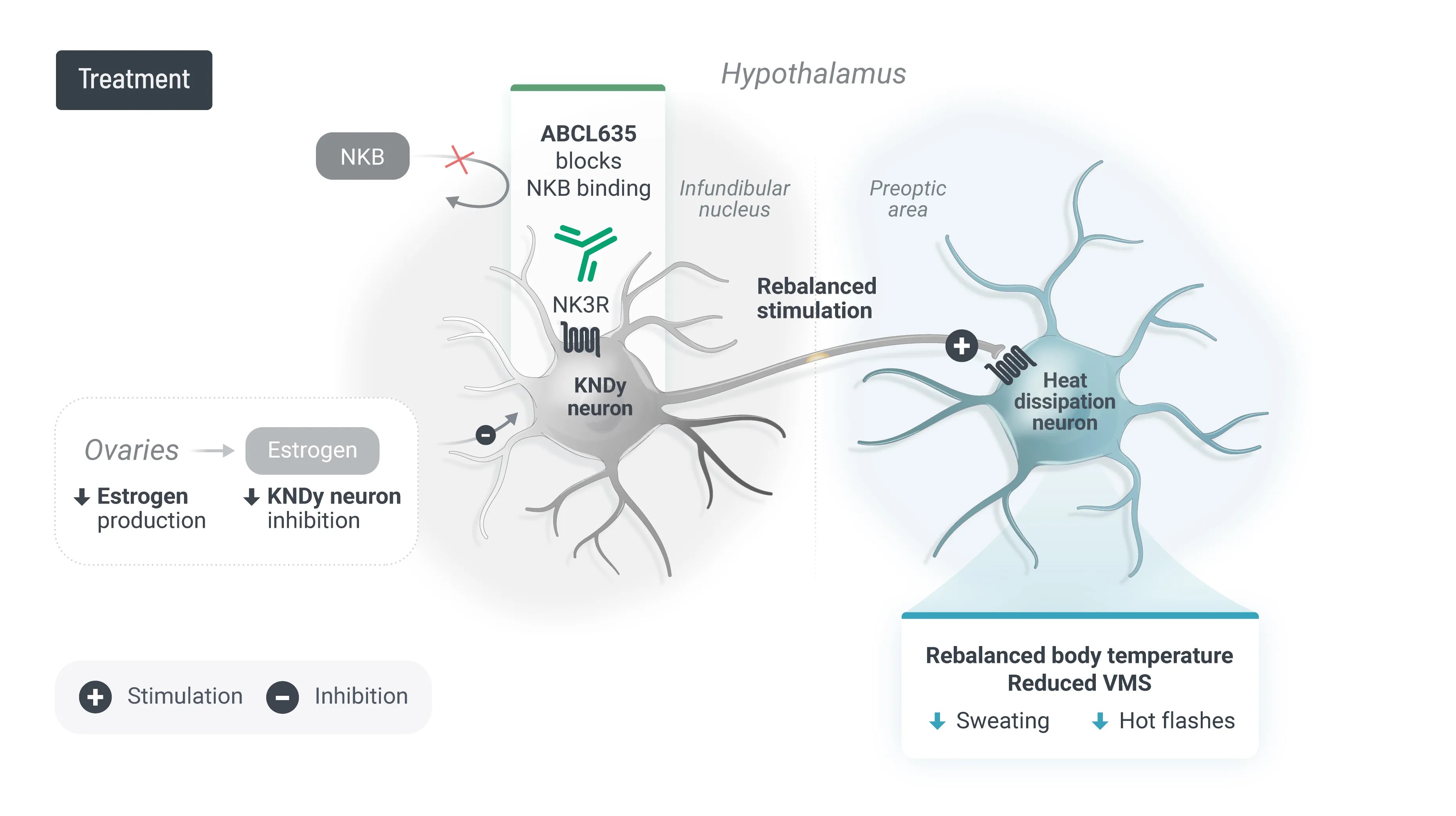 ABCL635-MoA-Scientific-V1.1.0-Treatment-03.jpg