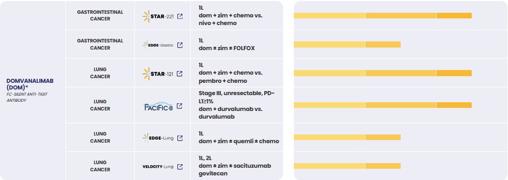 2 dom.jpg