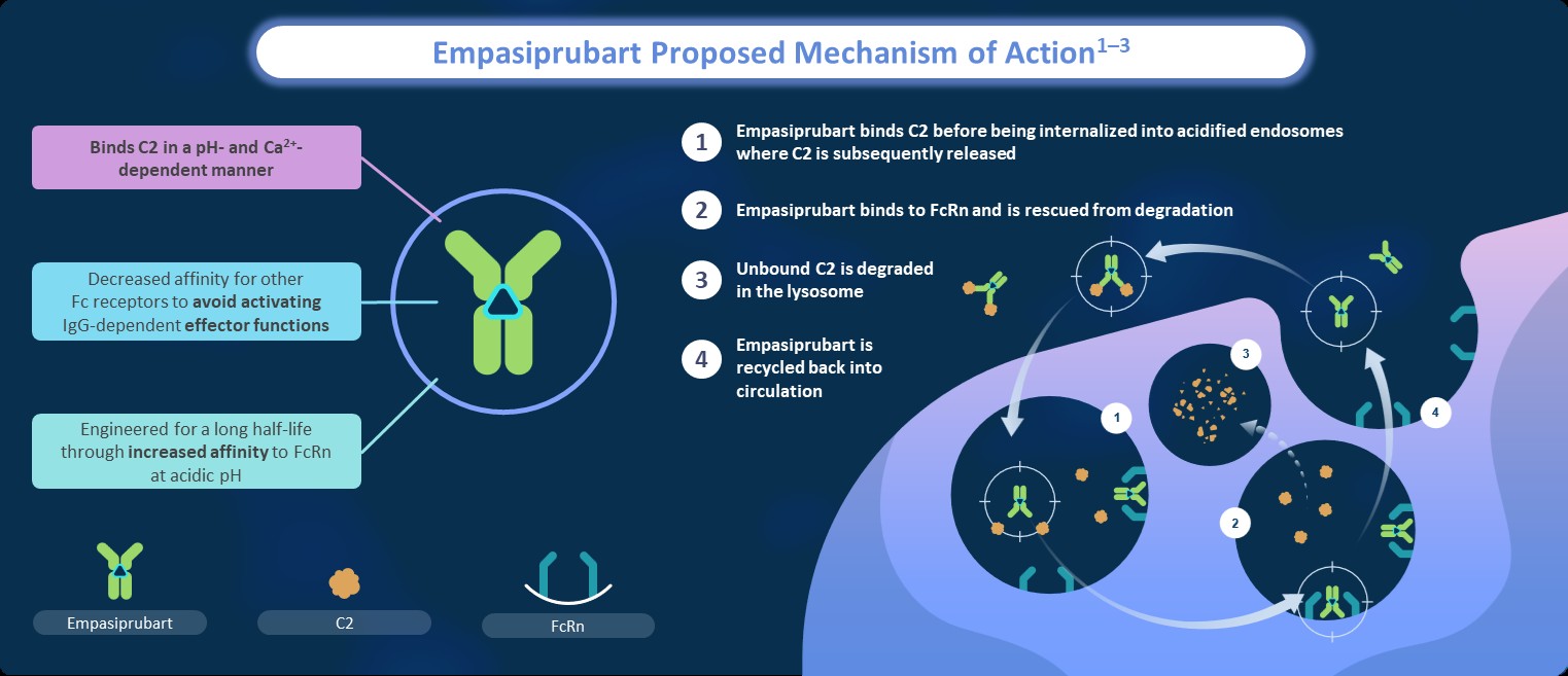 empasiprubart mechanism of action.jpg