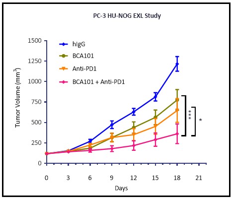 Figure 9 (New).jpg