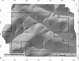img3925735_14.gif