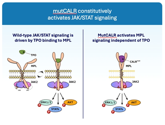 img137706984_3.jpg