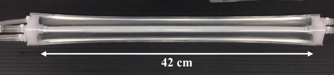 image25.jpg