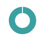 Risk management pie chart.jpg