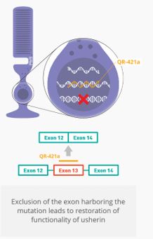 A picture containing screenshot
Description automatically generated