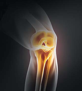 Picture 255