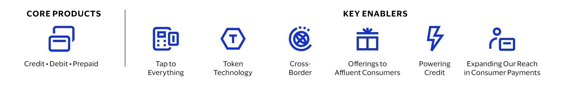 Visa-AR25_Business-section-stats_Consumer-Payments-icons.jpg