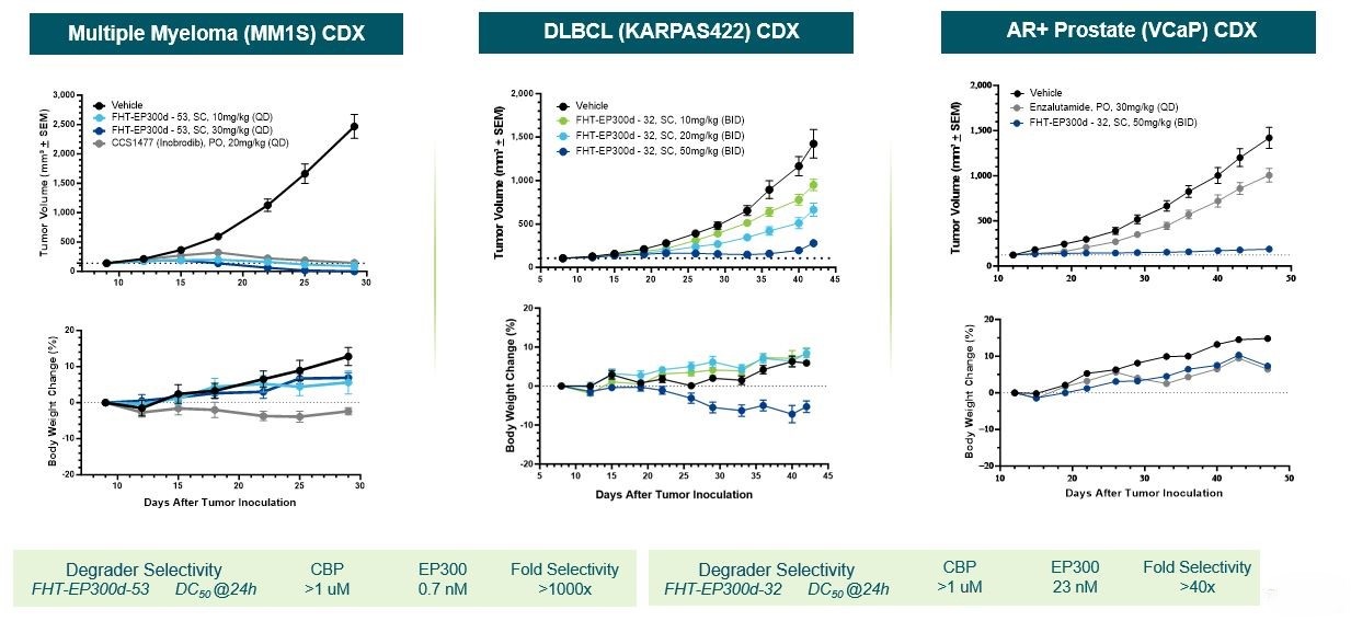 Figure 12.jpg