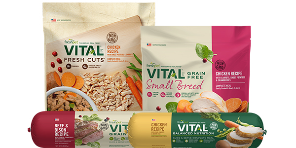 vitalfamily2023.jpg