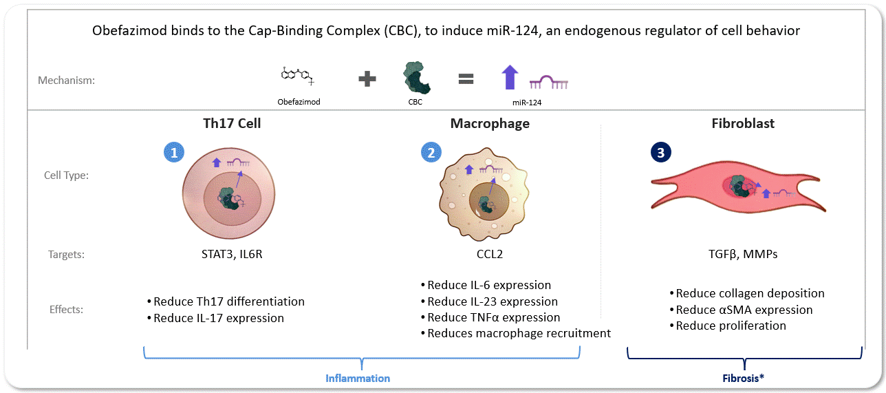 MoA - CBC Graphic.gif