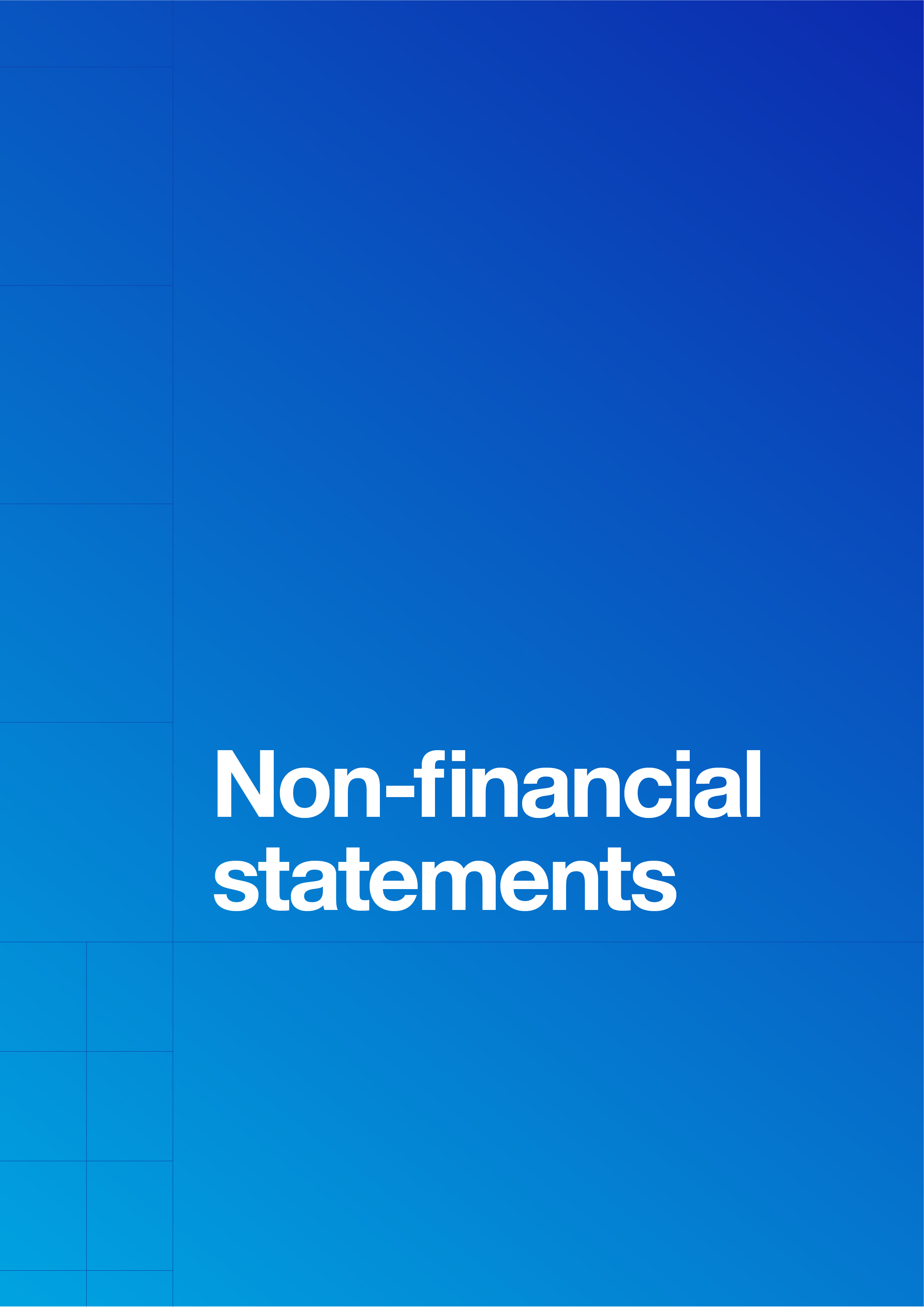 chapternonfinancialstatement.jpg