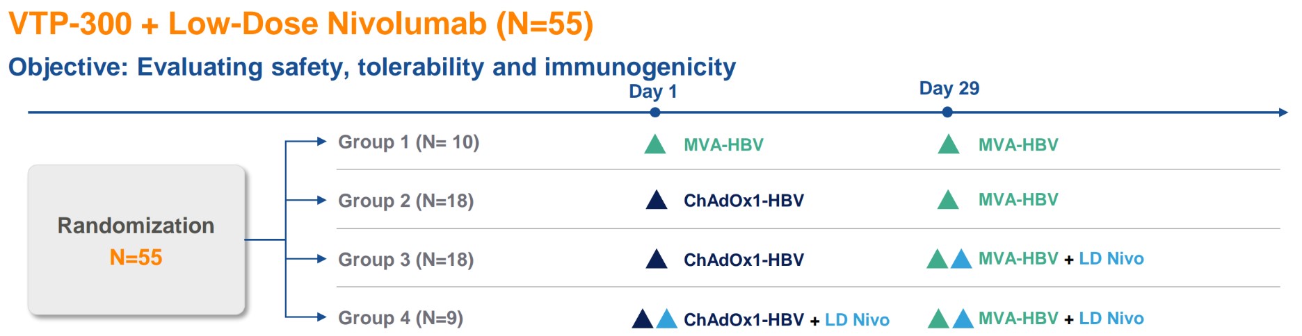 HBV002.jpg