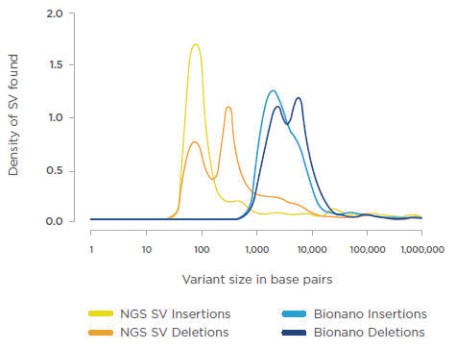 grapha01.jpg