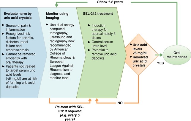 figure10.jpg