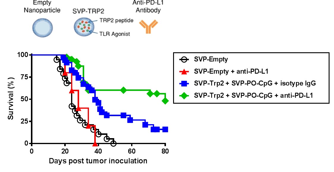 figure44.jpg