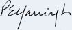 (-s- Patricia E. Yarrington)