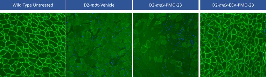 trda-20211231x10k025.jpg