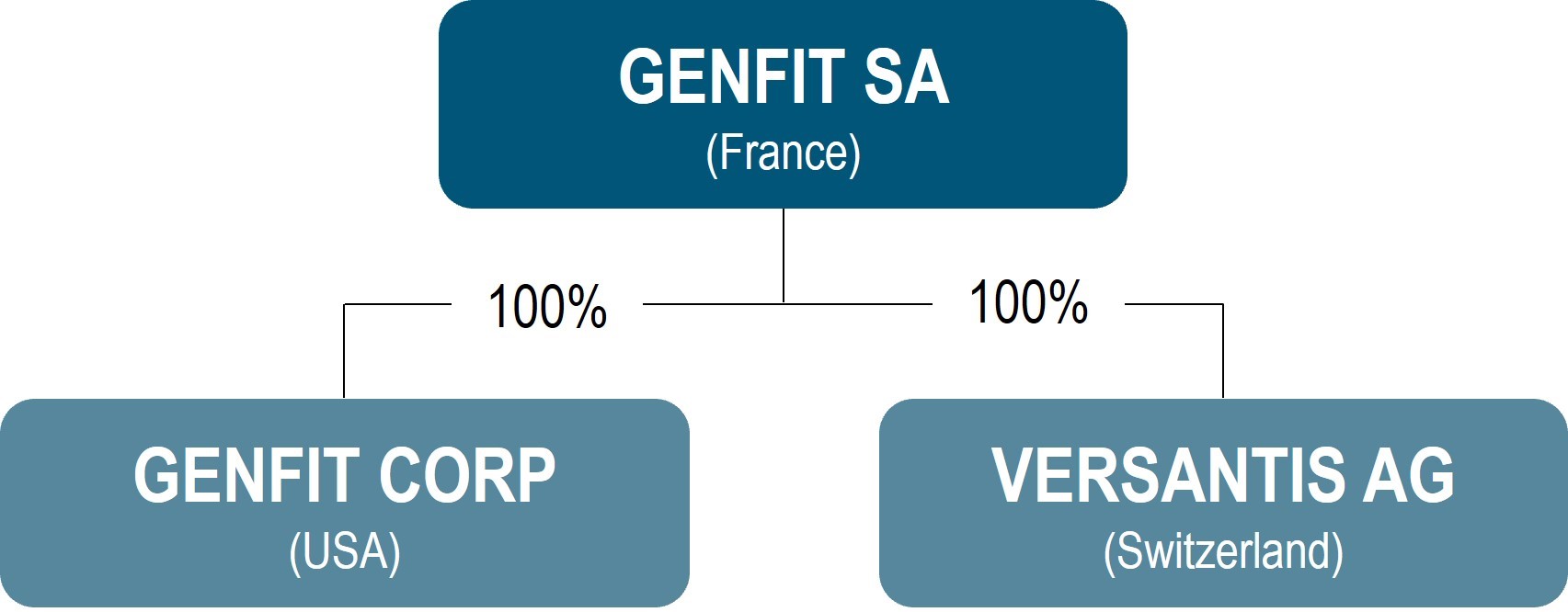structure-organisationnelle.jpg