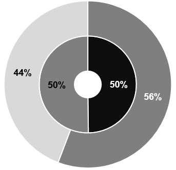 execcomppiechart1.jpg