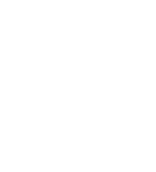 icon-shield (1).gif