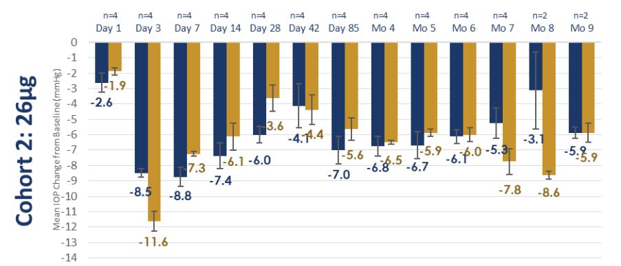 Graphic
