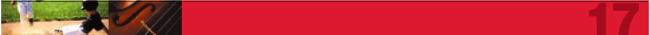 (PAGE 17 BANNER)