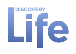 disclifelogo2017.jpg