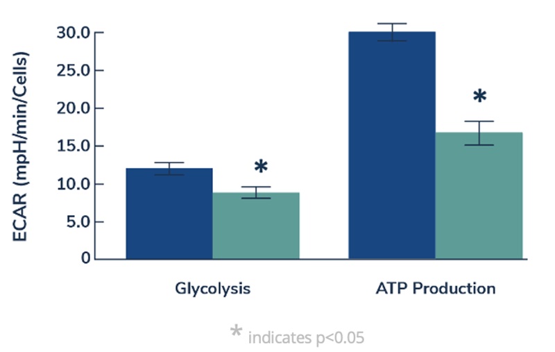 glycolysis-updated.jpg