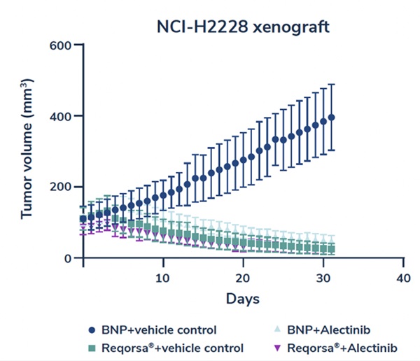 reqorsaalkxenograft1.jpg