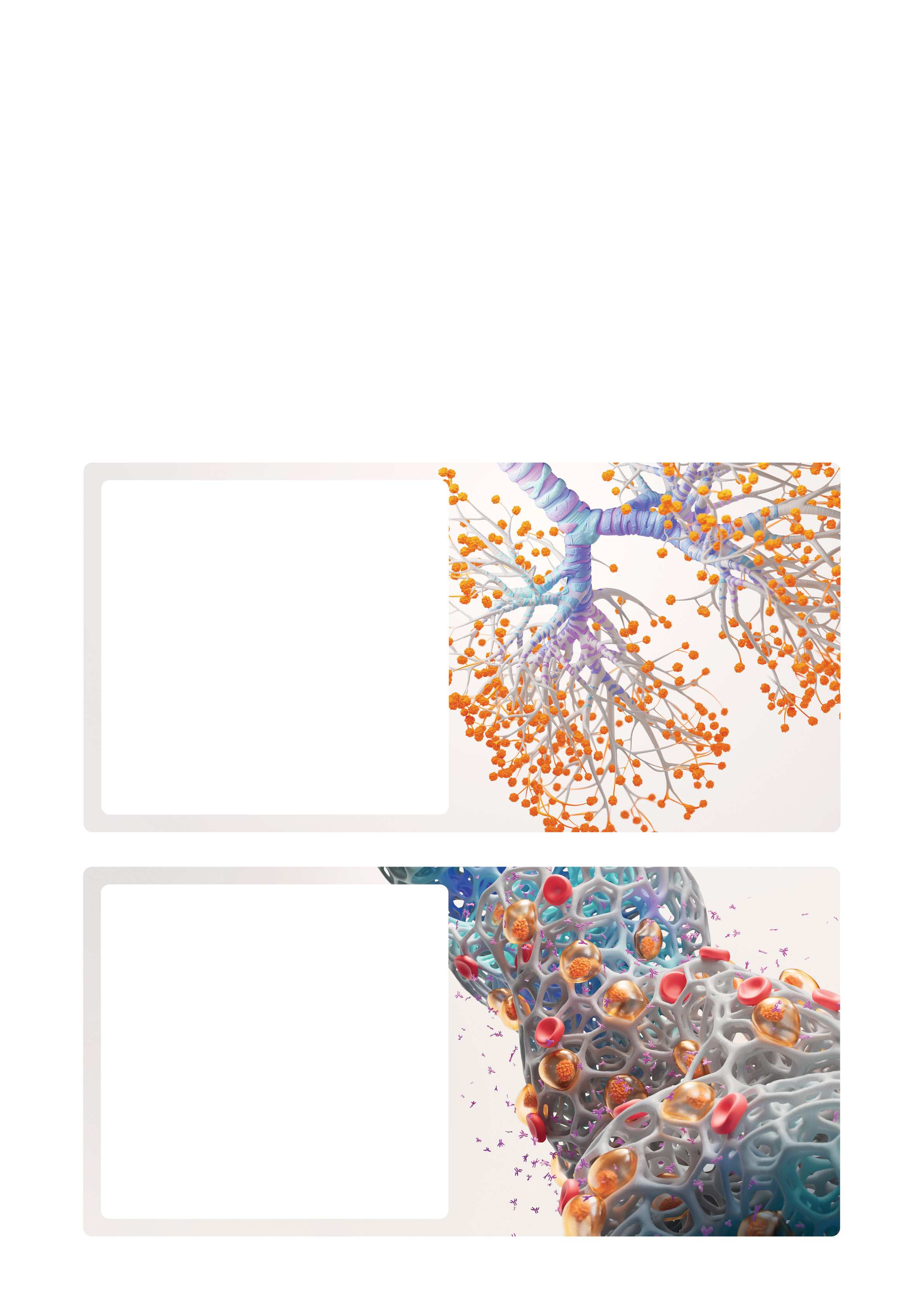 GSK_AR25_Master_P6.jpg