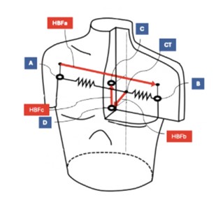 Picture1.jpg