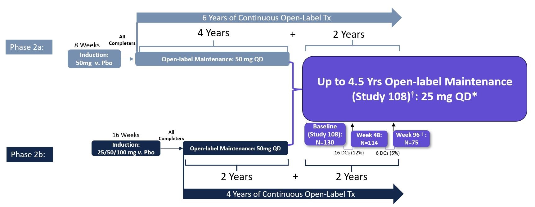 Phase 2b LT Safety - 108.jpg