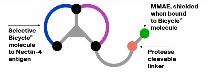 Graphic