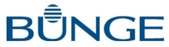 bungelogoa10.jpg
