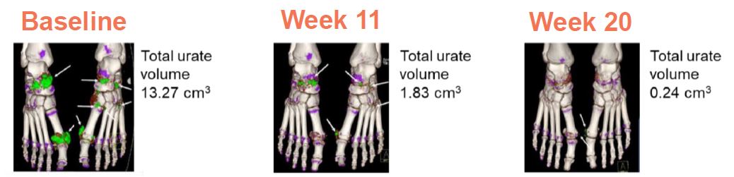 figure6a02.jpg