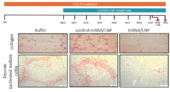 [MISSING IMAGE: tm215958d1-ph_chemicl4clr.jpg]
