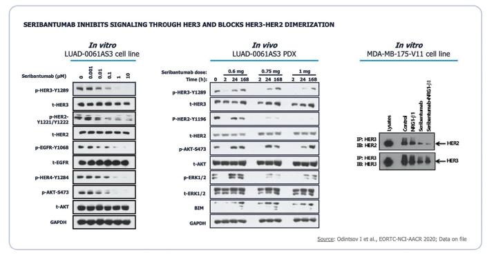 Graphical user interface, application, table
Description automatically generated