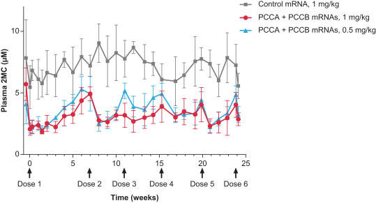 mrna-20201231_g38.jpg