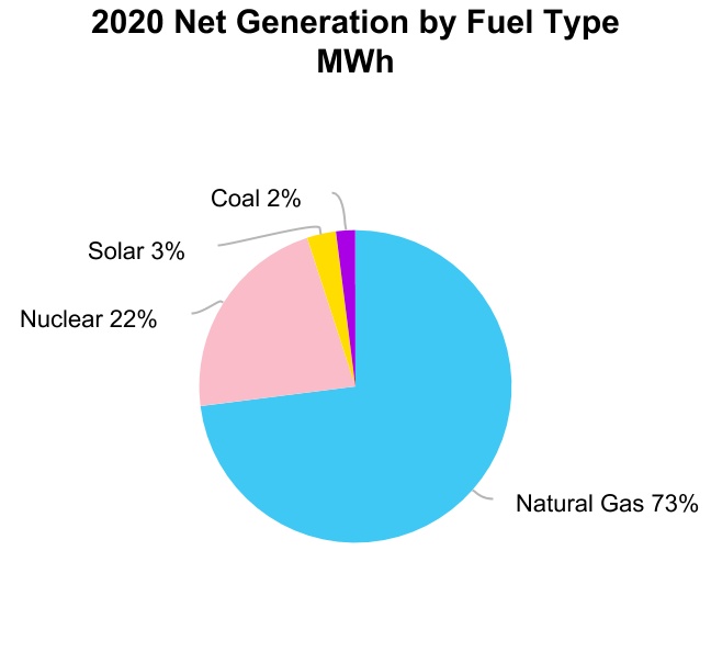 nee-20201231_g9.jpg