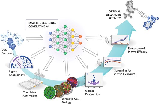 Picture61.jpg
