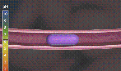 img103391094_10.gif