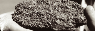 (IMAGE)
