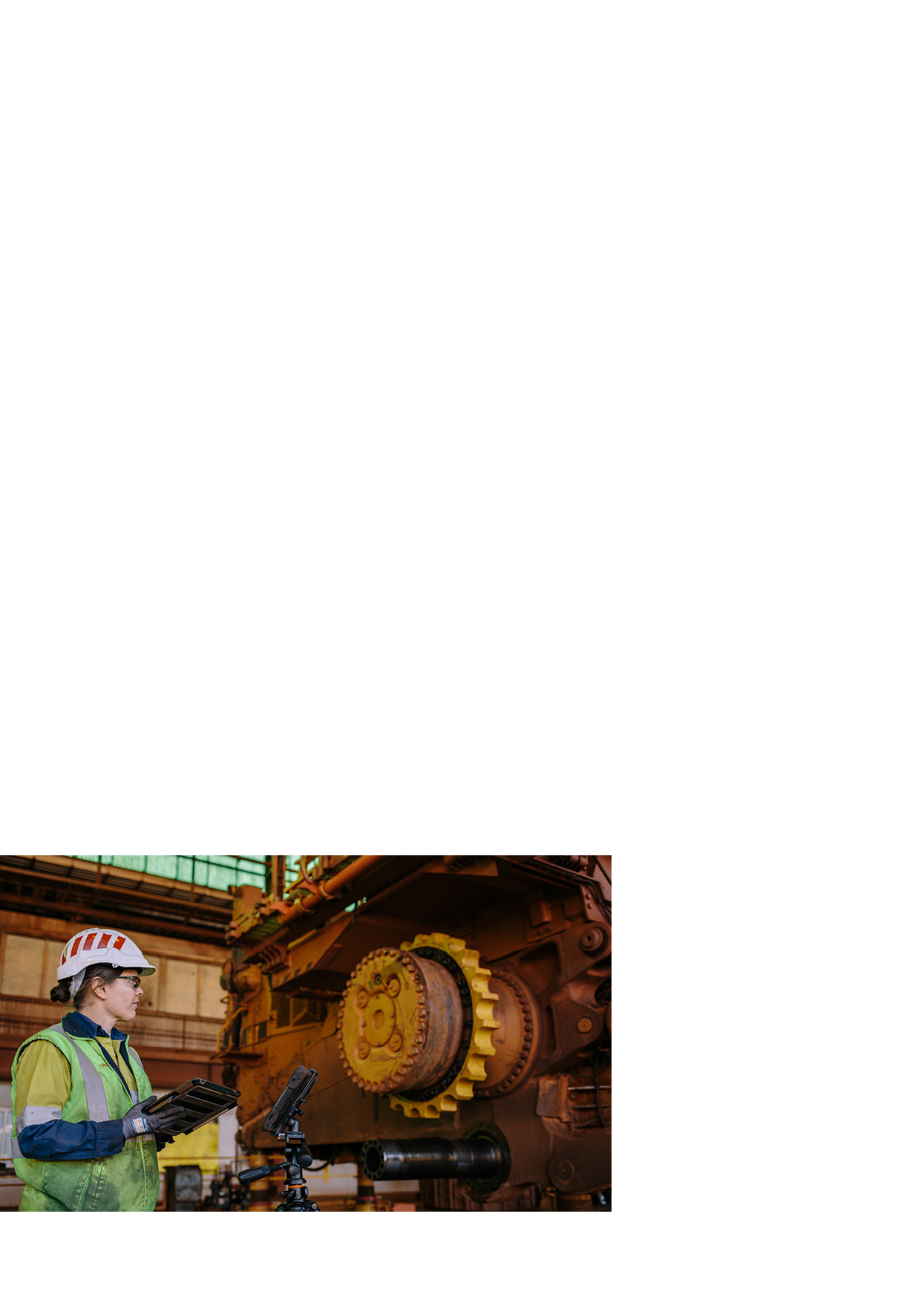 p13.jpg